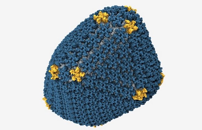 "Εσπασε" η μοριακή δομή του ιού HIV