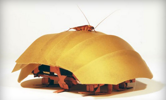 Ερευνητές στο Μπέρκλεϋ δοκιμάζουν ρομποτικές κατσαρίδες, με στόχο να σώζουν ζωές στο μέλλον