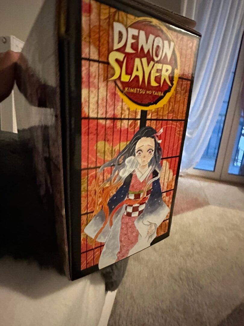 Demon Slayer Complete Box Set Manga Insomnia Gr