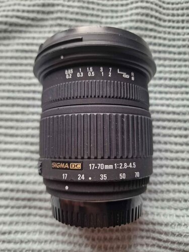 Sigma 17-70mm f/2.8-4.5 DC crop DX Nikon F mount