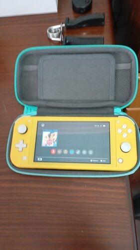 Nintendo Switch Lite+Pokémon Shield