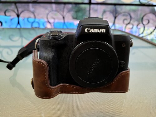 Canon EOS M50 + EF-M 15-45mm STM + EF-M 22mm f/2 + leather vintage case