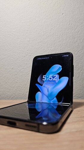 Samsung Galaxy Z Flip 3 με θέμα