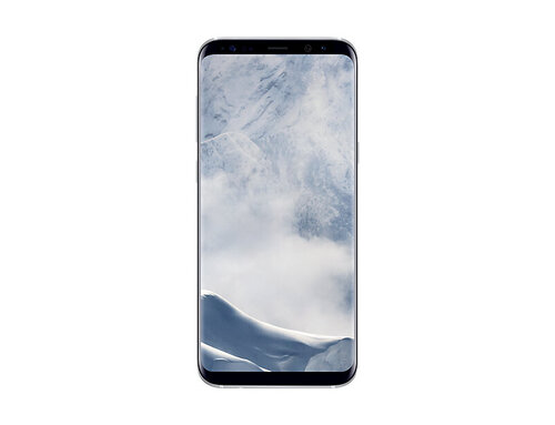 Περισσότερες πληροφορίες για "Samsung Galaxy S 8+ (Ασημί/64 GB)"