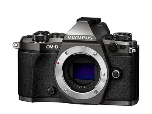 Περισσότερες πληροφορίες για "Olympus OM-D E-M5 Mark II Limited"