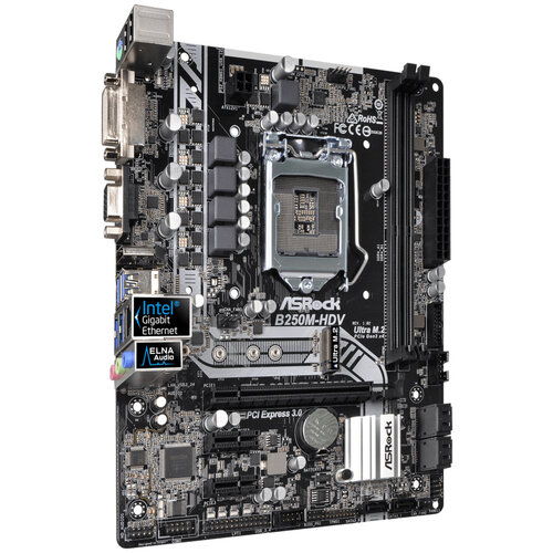 Περισσότερες πληροφορίες για "Asrock B250M-HDV"