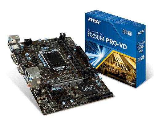 Περισσότερες πληροφορίες για "MSI B250M PRO-VD"