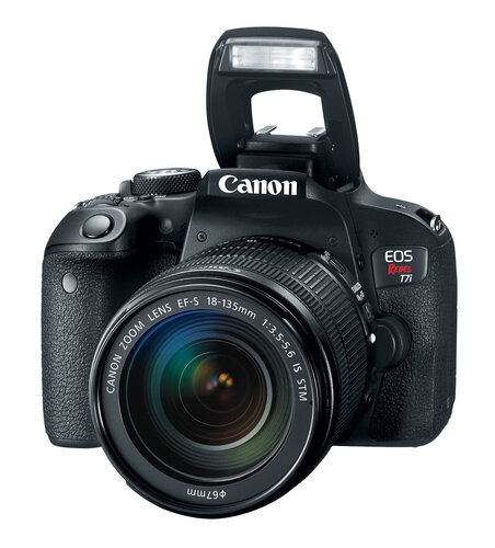 Περισσότερες πληροφορίες για "Canon EOS Rebel T7i + EF-S 18-55 IS STM"
