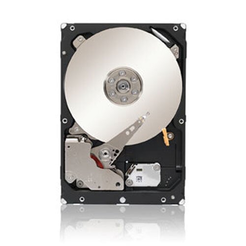 Περισσότερες πληροφορίες για "Seagate Constellation ES.3 1TB"