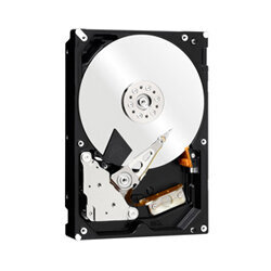 Περισσότερες πληροφορίες για "Western Digital 4TB HDD (WD Sentinel DX4000)"