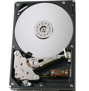 Περισσότερες πληροφορίες για "Western Digital Ultrastar 7K4000 2TB"