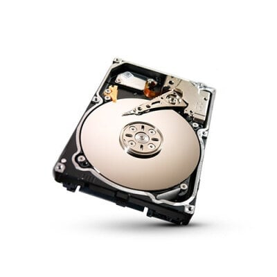 Περισσότερες πληροφορίες για "Seagate Constellation ST91000640SS-30PK"