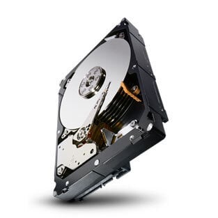 Περισσότερες πληροφορίες για "Seagate Constellation ST1000NM0023-20PK"