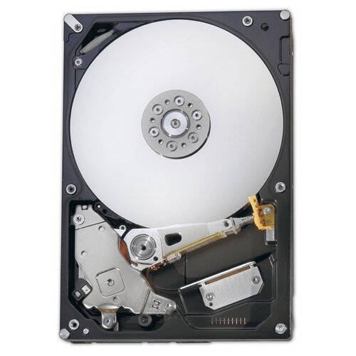 Περισσότερες πληροφορίες για "Fujitsu HARD DISK DRIVE 450GB/15KRPM"