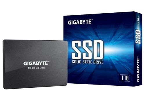 Περισσότερες πληροφορίες για "Gigabyte GP-GSTFS31100TNTD (1 TB/SATA)"