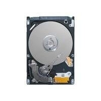 Περισσότερες πληροφορίες για "Seagate Momentus ST9250421ASG"