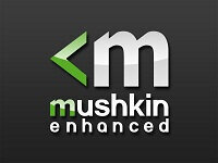 Περισσότερες πληροφορίες για "Mushkin Silverline MSL4U213FF16G28 (16 GB/DDR4/2133MHz)"