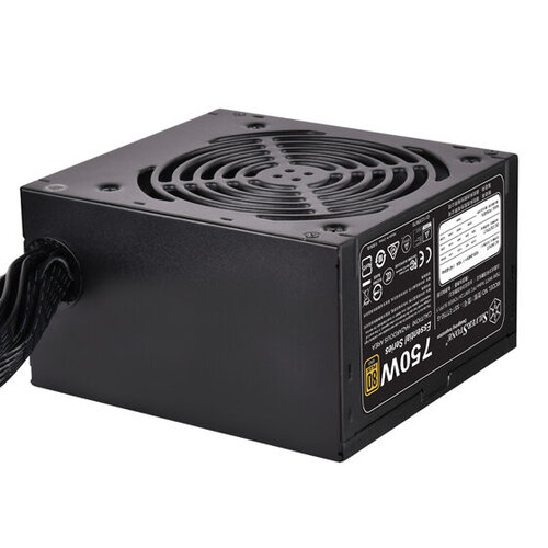 Περισσότερες πληροφορίες για "Silverstone ET750-G (750W)"