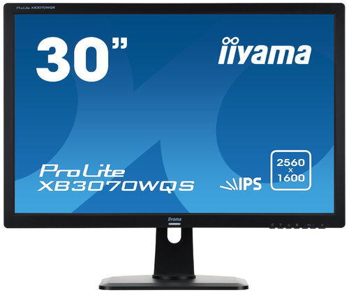 Περισσότερες πληροφορίες για "iiyama ProLite (30"/Wide Quad HD)"