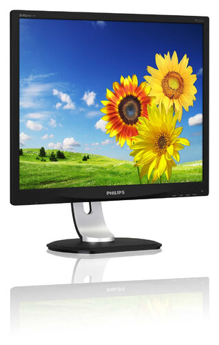 Περισσότερες πληροφορίες για "Philips Brilliance 19P4QYEB/93 (19"/SXGA)"