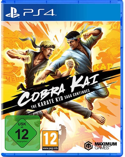 Περισσότερες πληροφορίες για "GAME Cobra Kai The Karate Kid Saga Continues (PlayStation 4)"