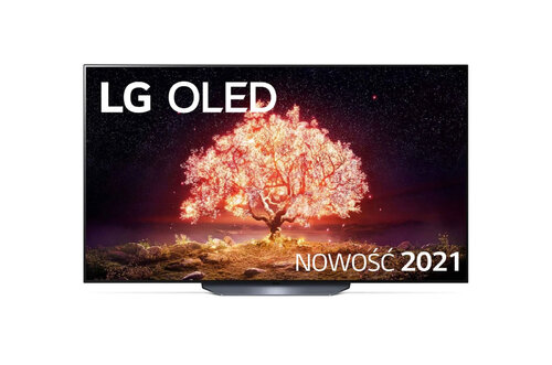 Περισσότερες πληροφορίες για "LG OLED65B13LA"