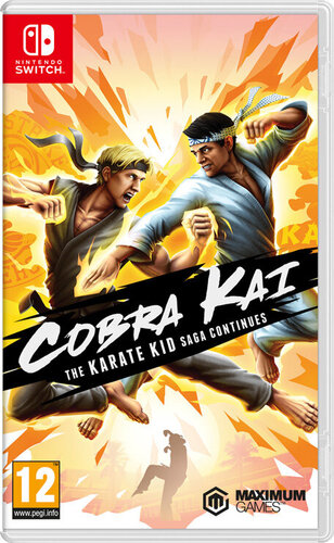 Περισσότερες πληροφορίες για "GAME Cobra Kai The Karate Kid Saga Continues (Nintendo Switch)"