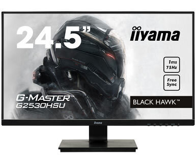 Περισσότερες πληροφορίες για "iiyama G-MASTER G2530HSU (24.5"/Full HD)"