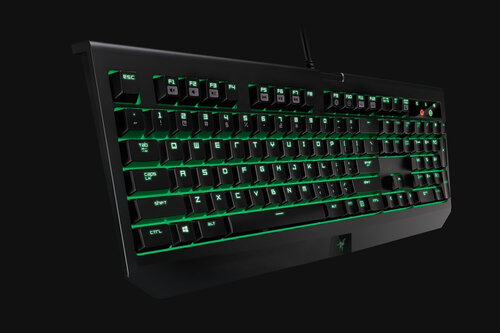 Περισσότερες πληροφορίες για "Razer Blackwidow (Μαύρο/USB)"