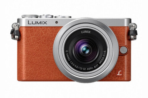 Περισσότερες πληροφορίες για "Panasonic DMC-GM1 + 12-32mm"