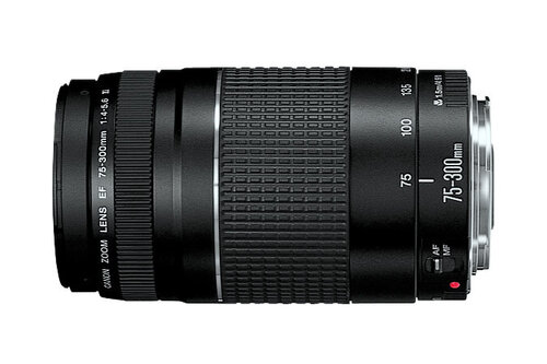 Περισσότερες πληροφορίες για "Canon EOS Rebel T5 + EF-S 18-55mm IS EF 75-300mm Ultimate Kit"