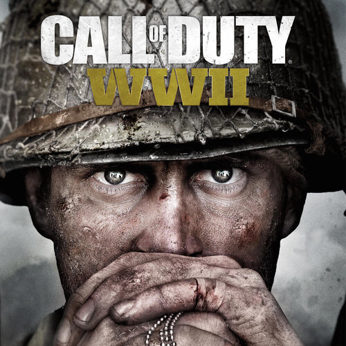 Περισσότερες πληροφορίες για "Activision Call of Duty : World War II (PC)"