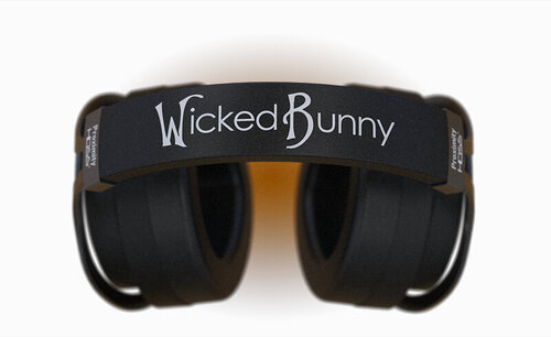 Περισσότερες πληροφορίες για "Wicked Bunny Proximity HDSS (Μαύρο/Ενσύρματα)"