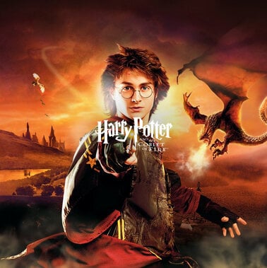Περισσότερες πληροφορίες για "Electronic Arts Harry Potter and the Goblet of Fire (Nintendo DS)"