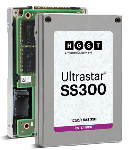 Περισσότερες πληροφορίες για "Western Digital Ultrastar SS300 (1920 GB/SAS)"
