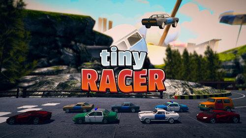 Περισσότερες πληροφορίες για "Tiny Racer (Nintendo Switch)"