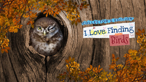 Περισσότερες πληροφορίες για "I Love Finding Birds Collector's Edition (Nintendo Switch)"