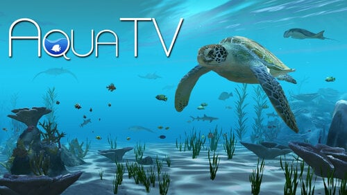 Περισσότερες πληροφορίες για "Aqua TV (Nintendo Switch)"