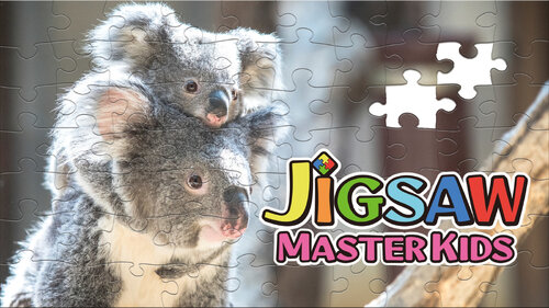 Περισσότερες πληροφορίες για "JIGSAW MASTER KIDS (Nintendo Switch)"