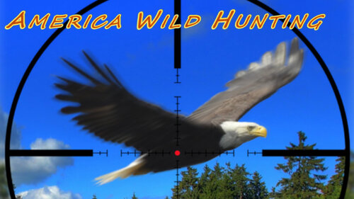 Περισσότερες πληροφορίες για "America Wild Hunting (Nintendo Switch)"