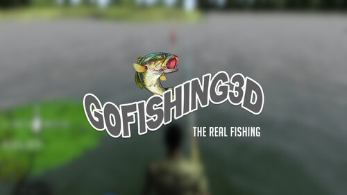 Περισσότερες πληροφορίες για "GoFishing 3D (Nintendo Switch)"