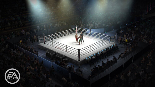 Περισσότερες πληροφορίες για "EA Sports MMA (Xbox 360)"