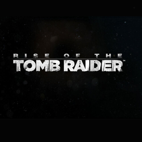 Περισσότερες πληροφορίες για "Rise of the Tomb Raider (NEU) (PC)"