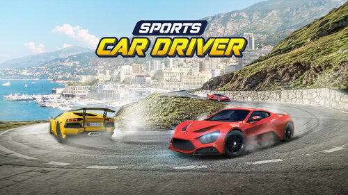 Περισσότερες πληροφορίες για "Sports Car Driver (Nintendo Switch)"