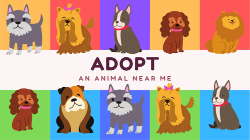 Περισσότερες πληροφορίες για "Adopt an Animal Near Me (Nintendo Switch)"