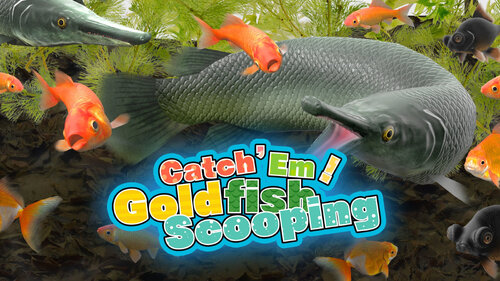 Περισσότερες πληροφορίες για "Catch 'Em! Goldfish Scooping (Nintendo Switch)"