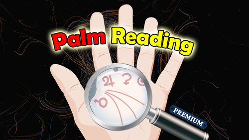 Περισσότερες πληροφορίες για "Palm Reading Premium (Nintendo Switch)"