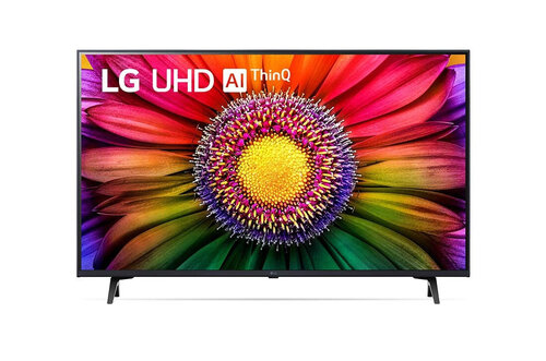 Περισσότερες πληροφορίες για "LG 43UR80003LJ"