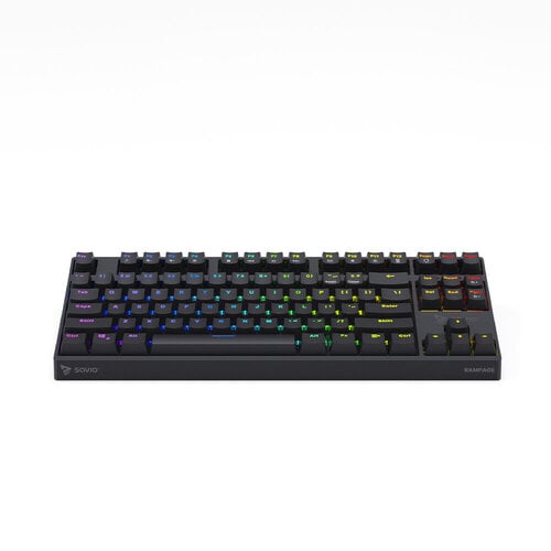 Περισσότερες πληροφορίες για "Savio Rampage Outemu Brown Mechanical Keyboard anti-ghosting RGB black (Μαύρο/Bluetooth/RGB LED)"