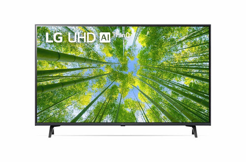 Περισσότερες πληροφορίες για "LG NanoCell 43UQ8000PSB"